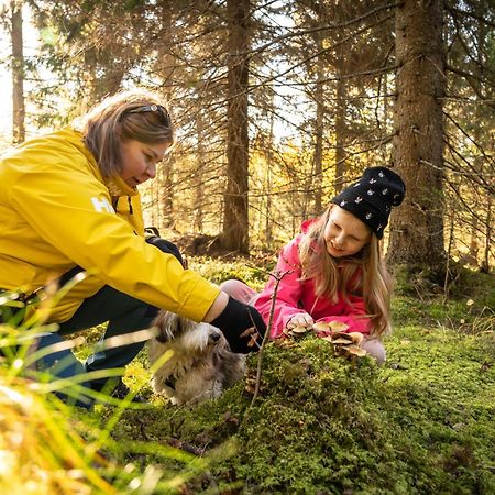 Koli Freetime Cottages Ahmovaara Buitenkant foto