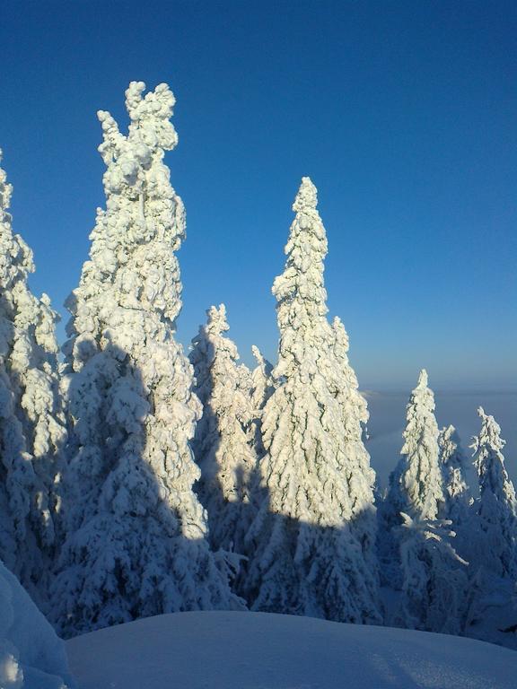 Koli Freetime Cottages Ahmovaara Kamer foto