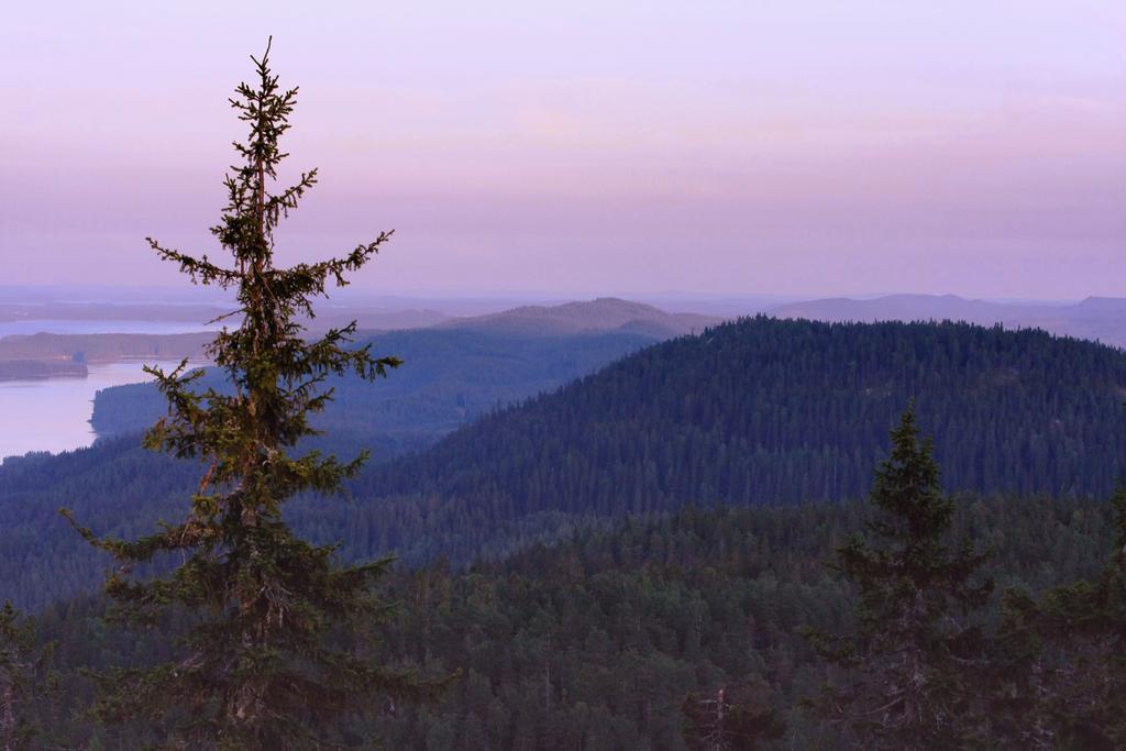 Koli Freetime Cottages Ahmovaara Kamer foto