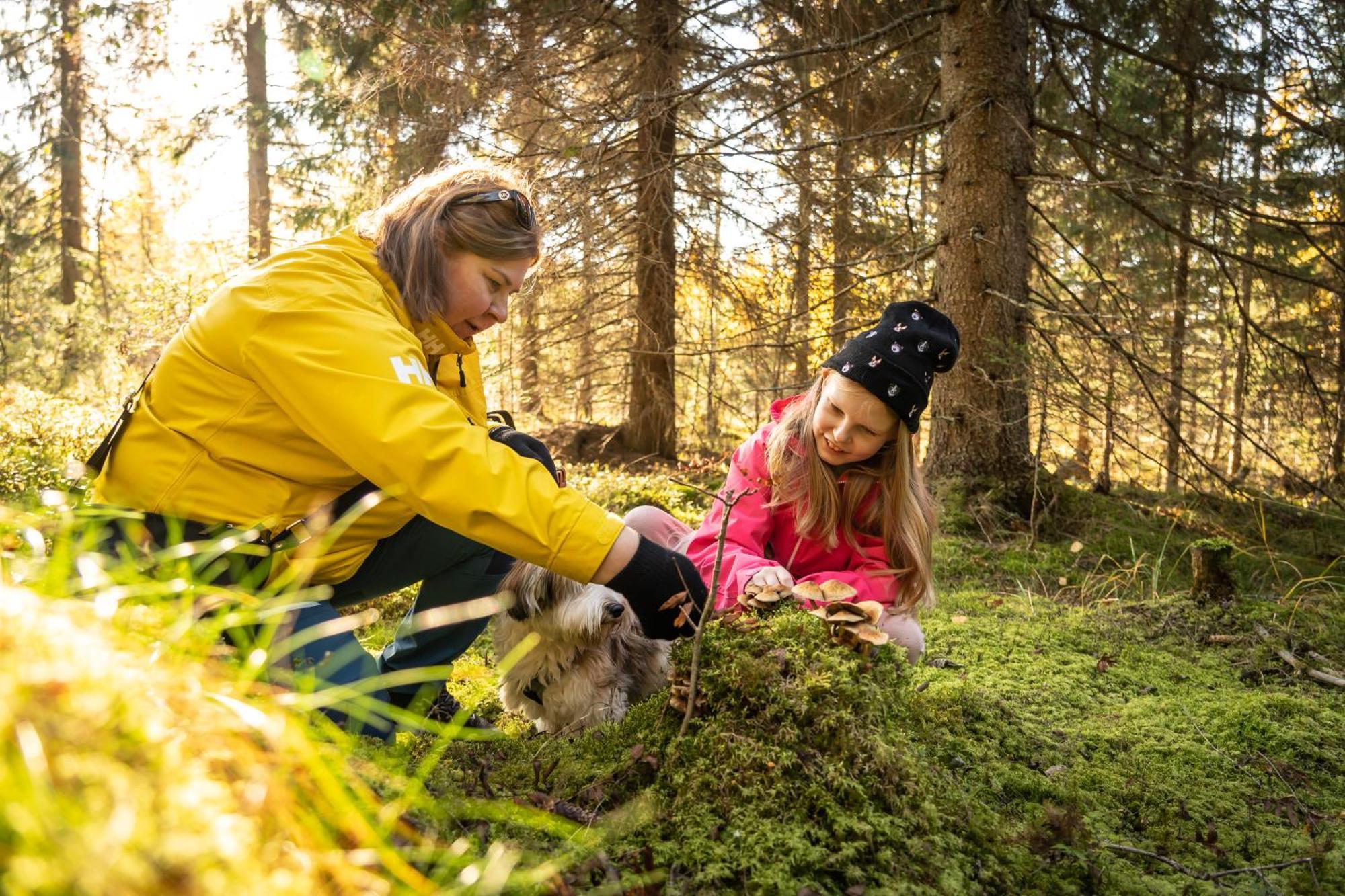 Koli Freetime Cottages Ahmovaara Buitenkant foto