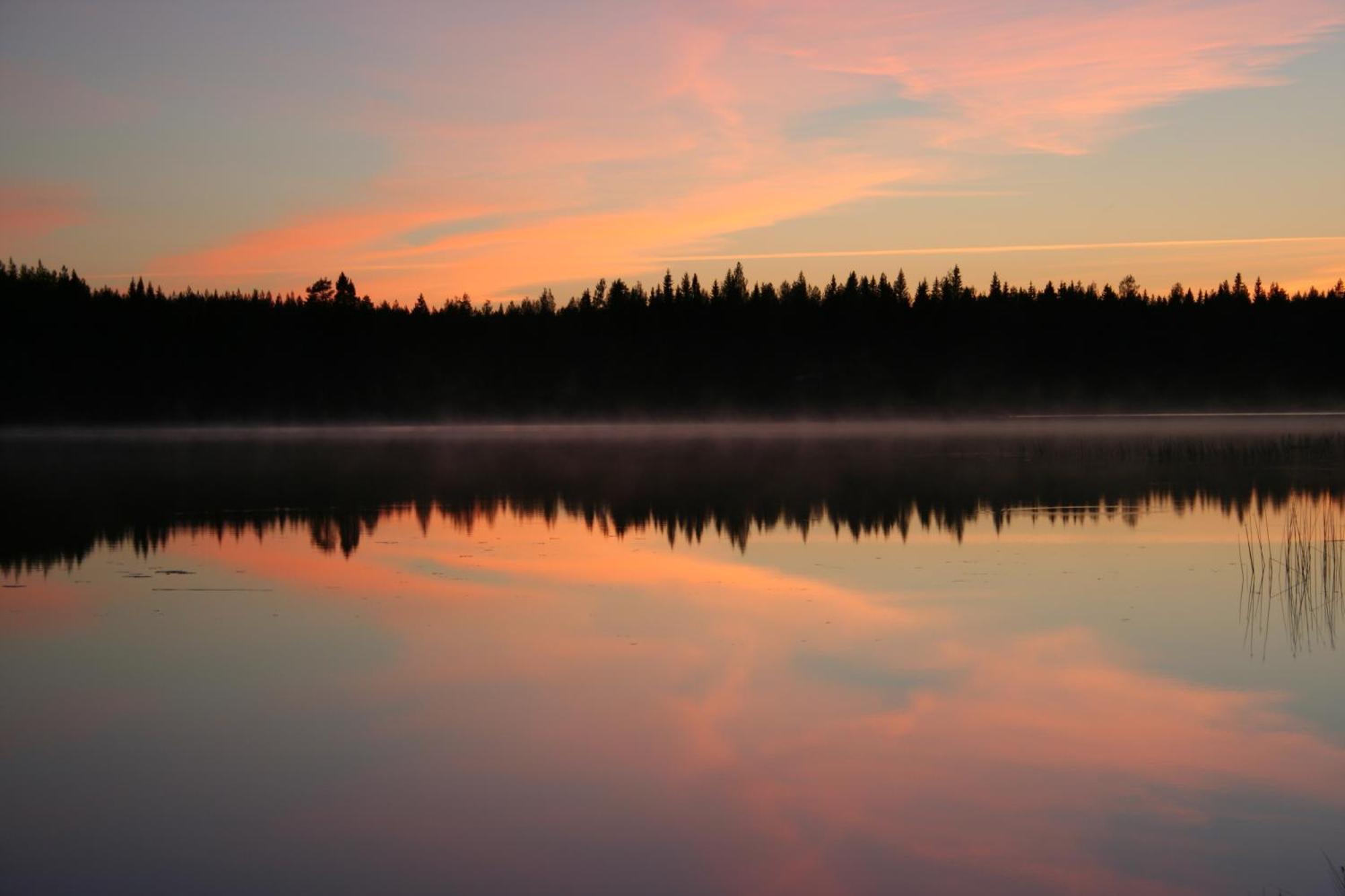 Koli Freetime Cottages Ahmovaara Kamer foto