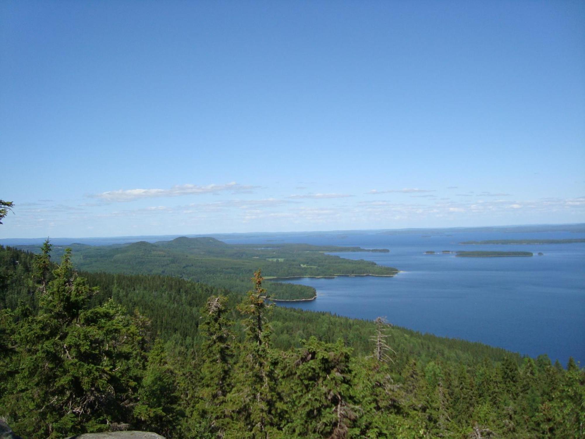 Koli Freetime Cottages Ahmovaara Kamer foto